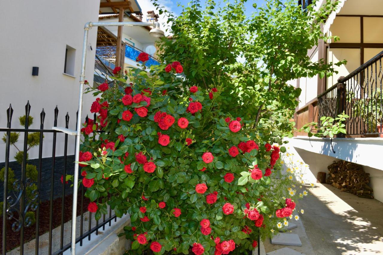 Petros House Apartment Nikiti  Bagian luar foto
